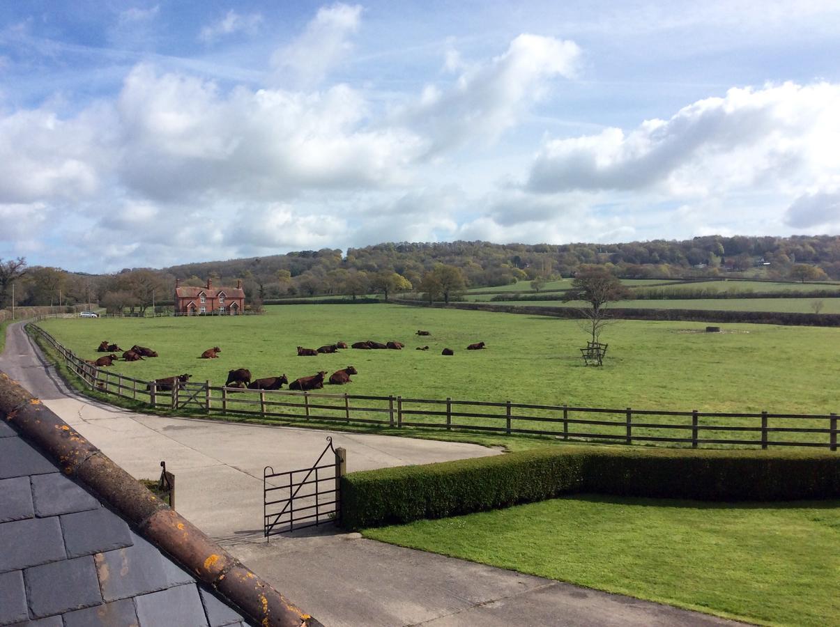 Moors Farmhouse Bed & Breakfast East Knoyle Luaran gambar